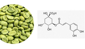 The Science Behind Green Coffee: Unraveling the Health Secrets